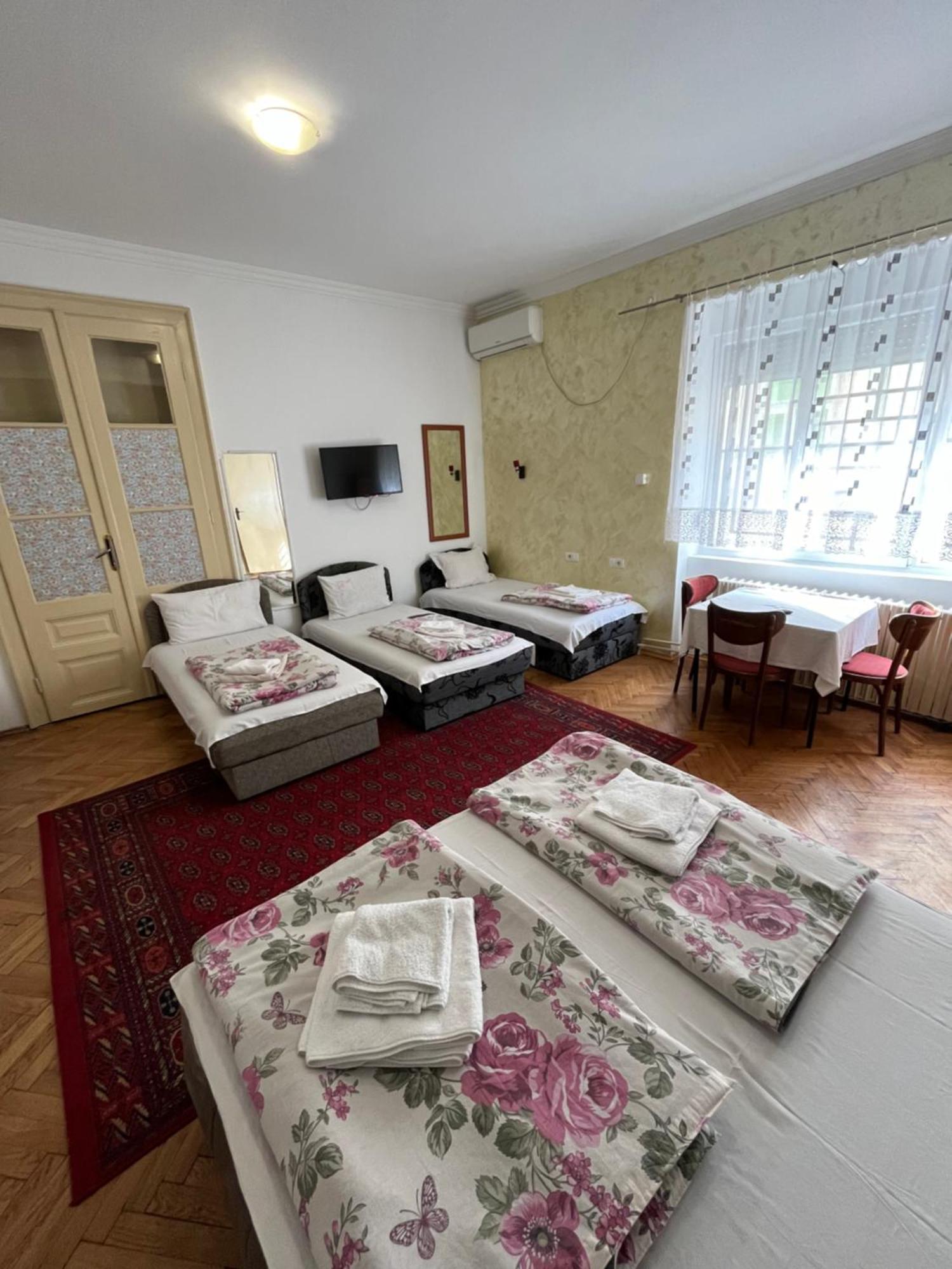 Sobe Sa Sopstvenim Kupatilom Private Rooms Bathroom In Center Novi Sad Exteriér fotografie