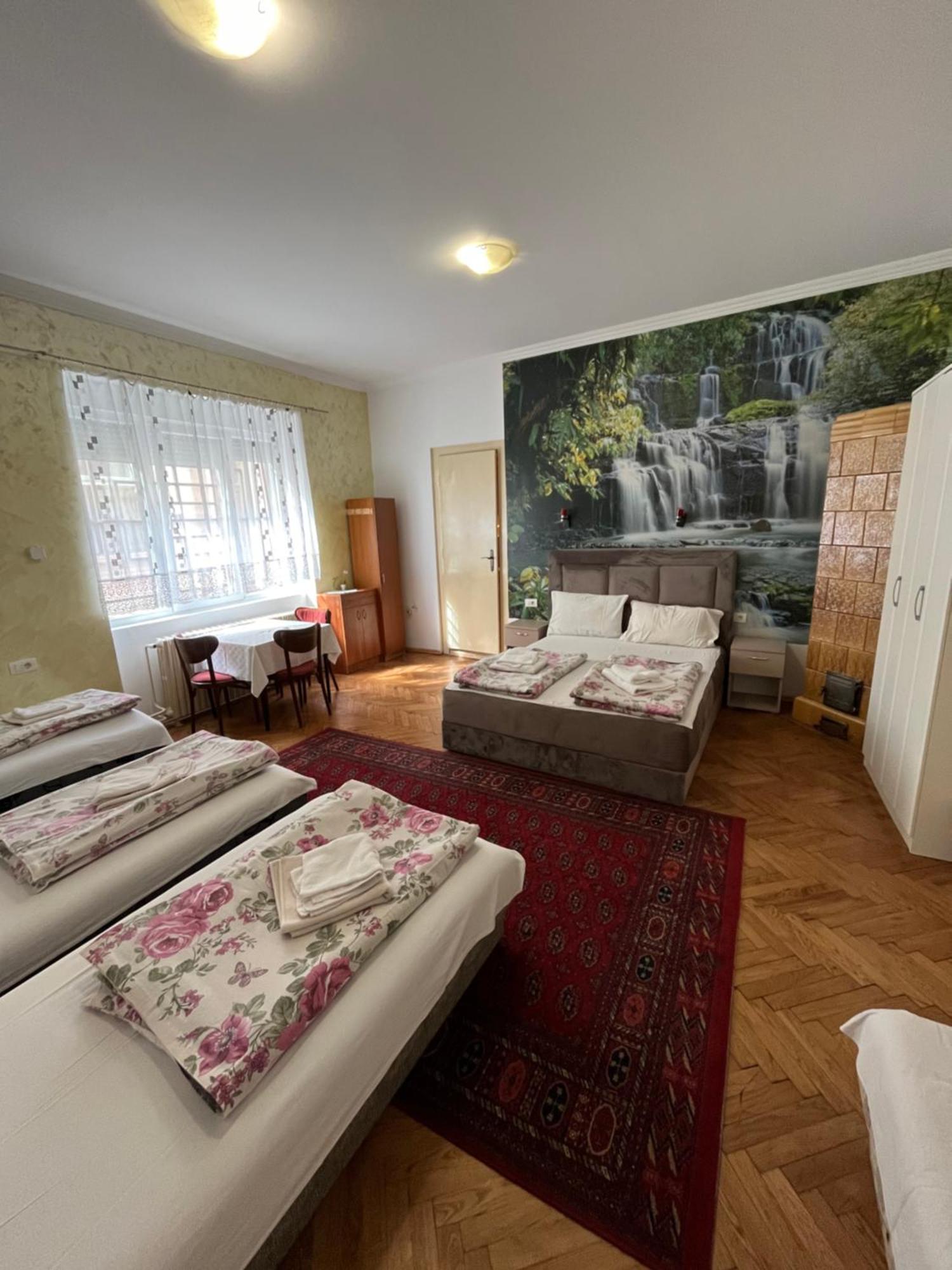 Sobe Sa Sopstvenim Kupatilom Private Rooms Bathroom In Center Novi Sad Exteriér fotografie